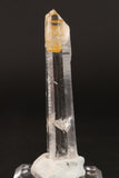 4" Colombian Lemurian  TC316