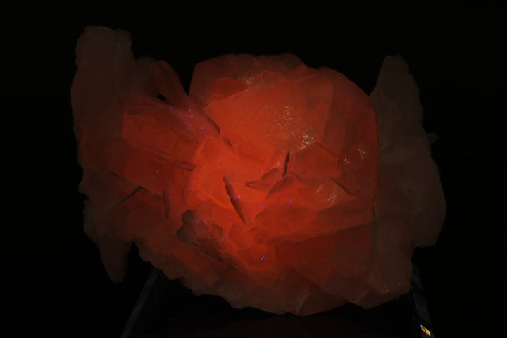 Pink Calcite Specimen from Dalnegorsk, Russia