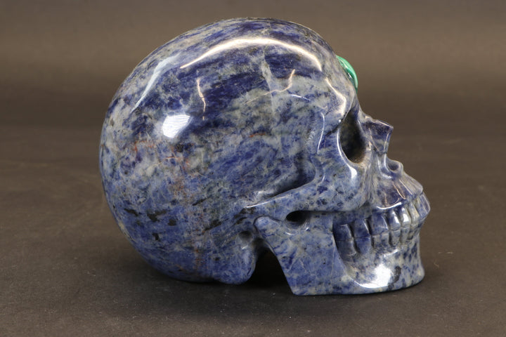 Sodalite Skull with Malachite Third Eye TD1378