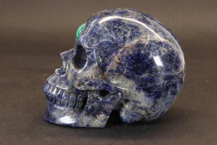 Sodalite Skull with Malachite Third Eye TD1378