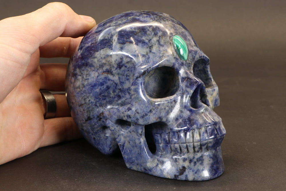 Sodalite Skull with Malachite Third Eye TD1378