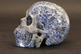 Sodalite Skull Carving TD1736