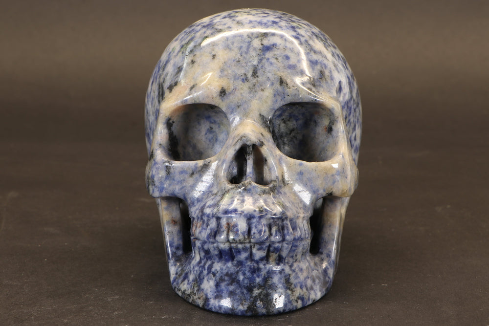 Sodalite Skull Carving TD1736