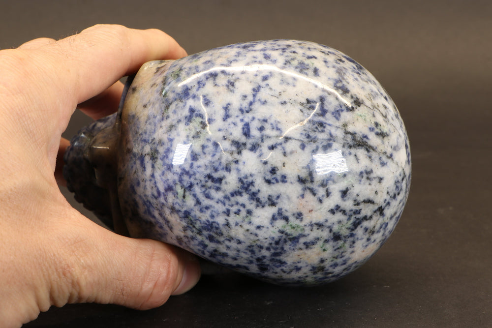 Sodalite Skull Carving TD1736