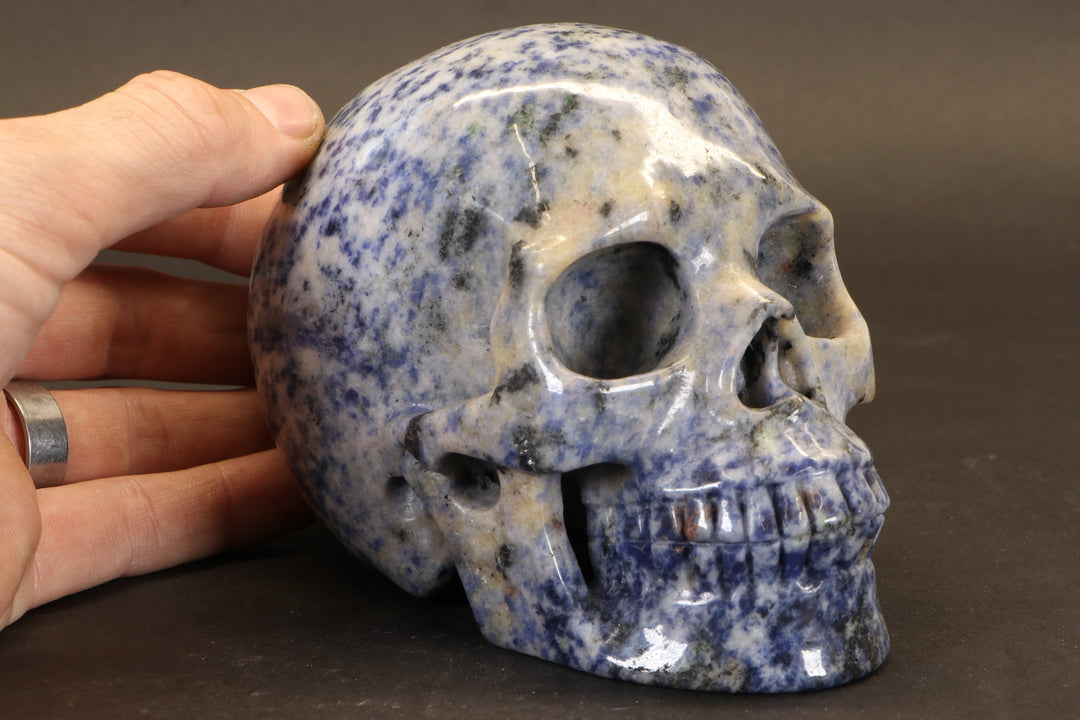 Sodalite Skull Carving TD1736