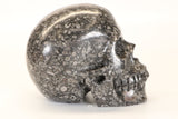 Crinoid Fossil Skull Carving TD1738