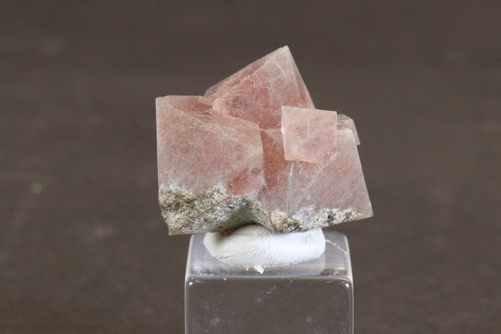 Pink Octahedral Fluorite with Byssolite Inclusions TD1927