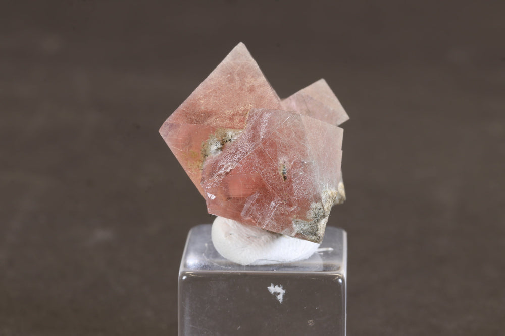 Pink Octahedral Fluorite with Byssolite Inclusions TD1927