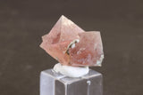 Pink Octahedral Fluorite with Byssolite Inclusions TD1927