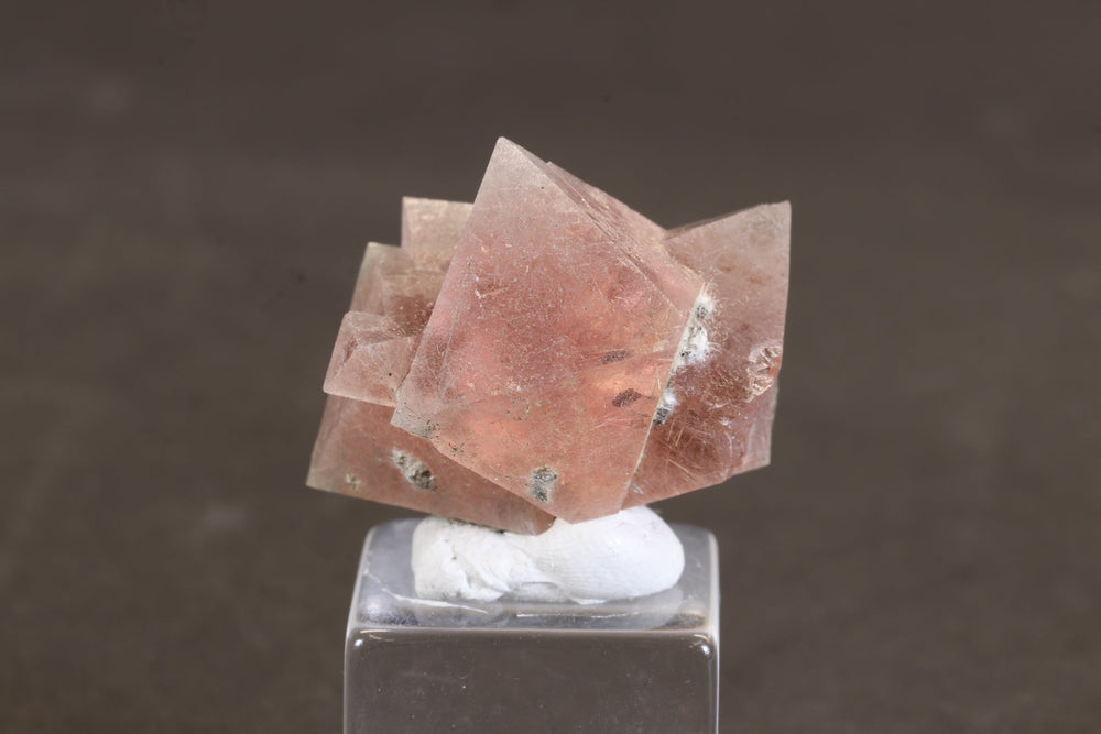 Pink Octahedral Fluorite with Byssolite Inclusions TD1927
