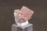 Pink Octahedral Fluorite with Byssolite Inclusions TD1927