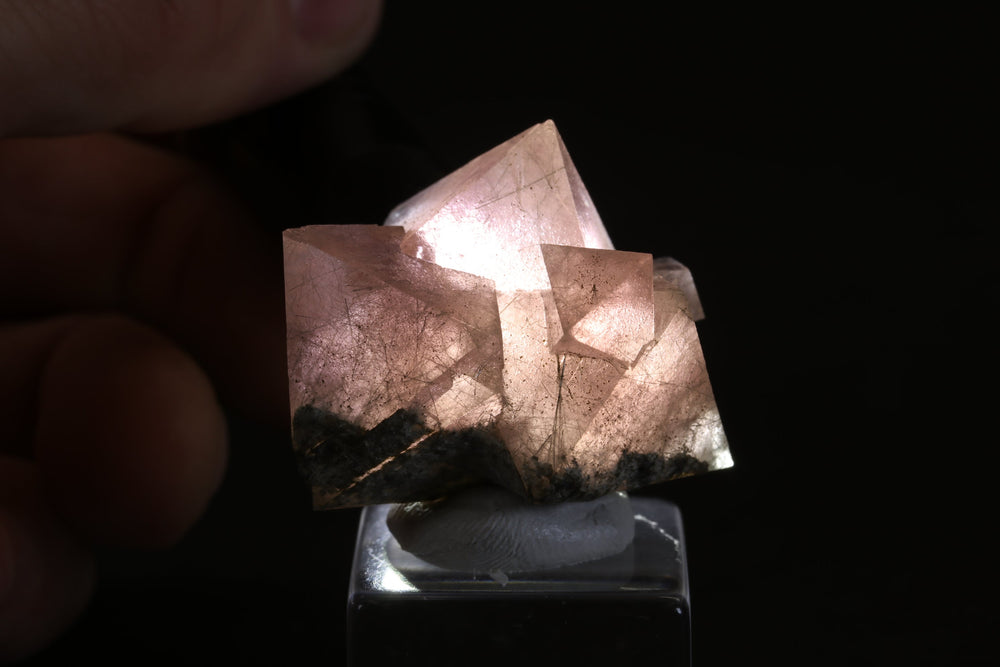 Pink Octahedral Fluorite with Byssolite Inclusions TD1927