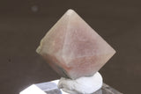 Pink Octahedral Fluorite with Byssolite Inclusions TD1942