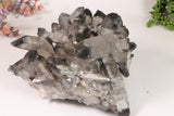 Black Phantom Lemurian Cluster TD2061