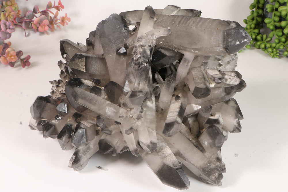 Black Phantom Lemurian Cluster TD2061