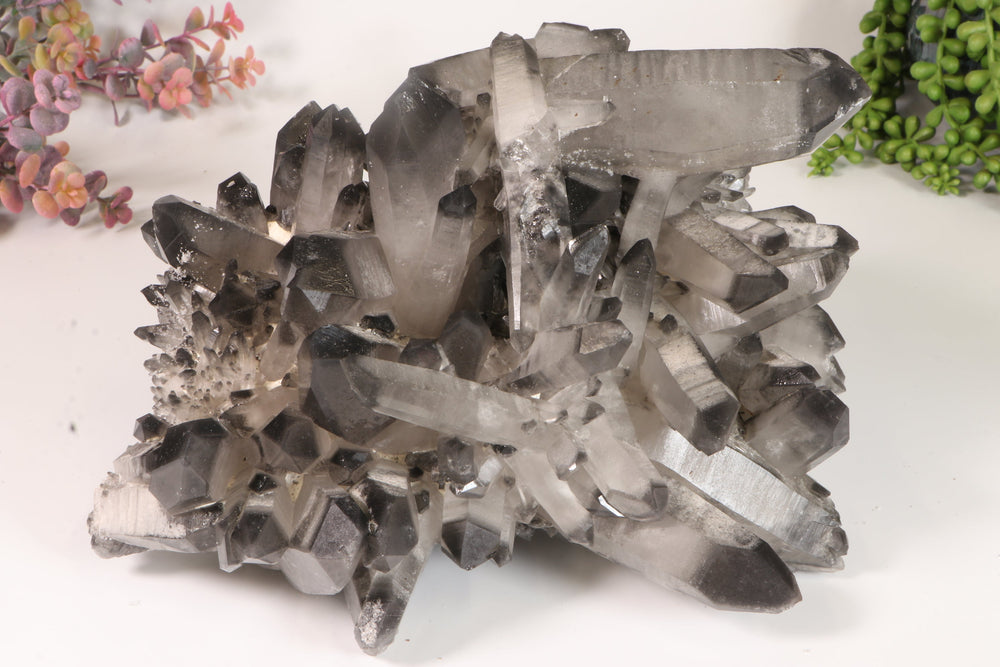 Black Phantom Lemurian Cluster TD2061