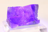 Purple Rain Pocket Fluorite TD2067