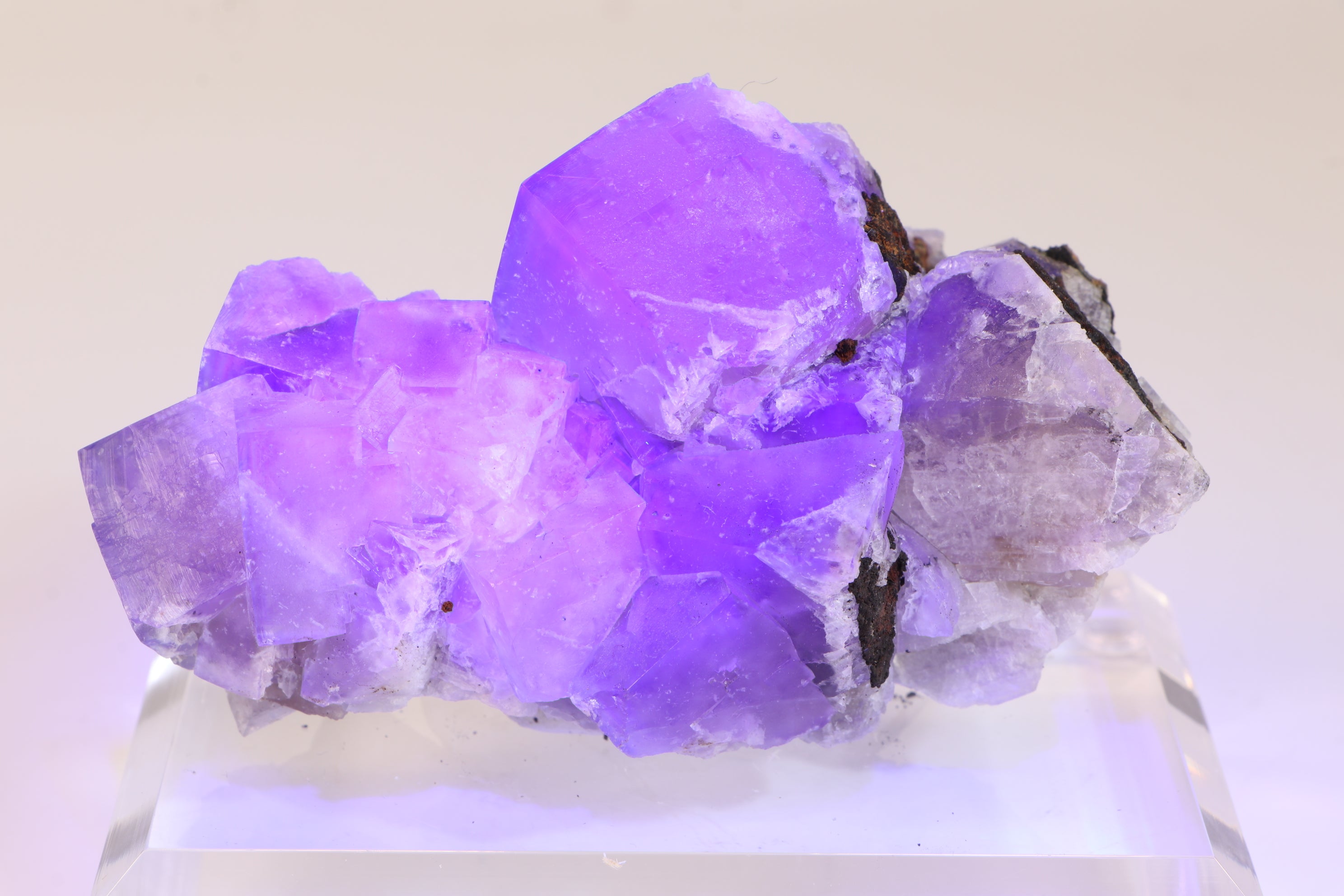 The Bull Vein Fluorite TD2115 – Little Lemuria