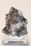 Fluorite and Hematite Rosettes on Smoky Quartz TD2879