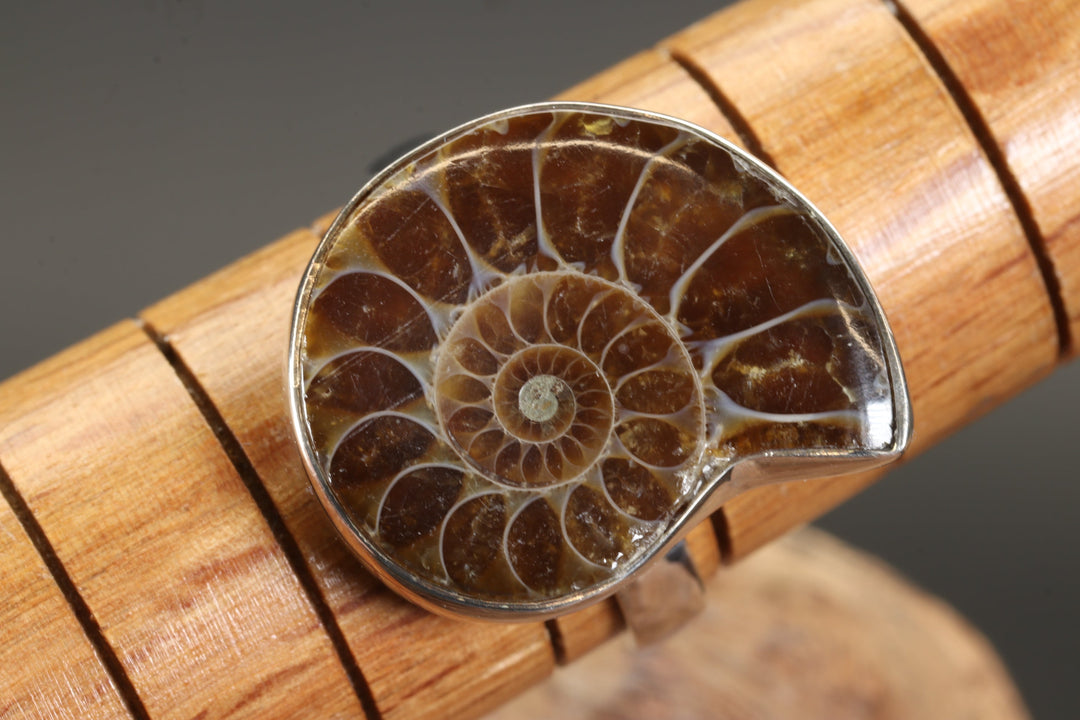 Ammonite Ring Size 8