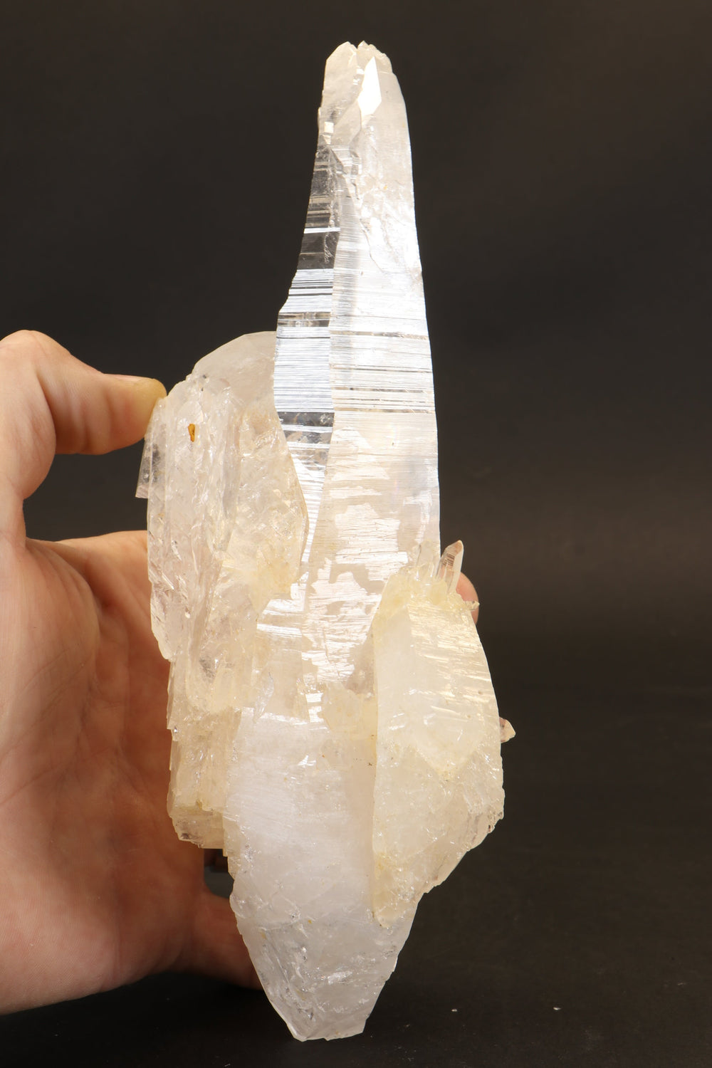8" Double Terminated Colombian Lemurian TD3469
