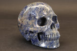 Sodalite Skull Carving TD3986
