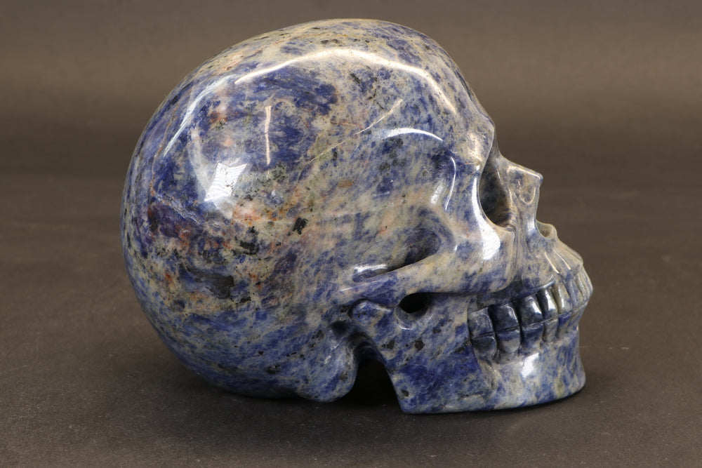 Sodalite Skull Carving TD3986