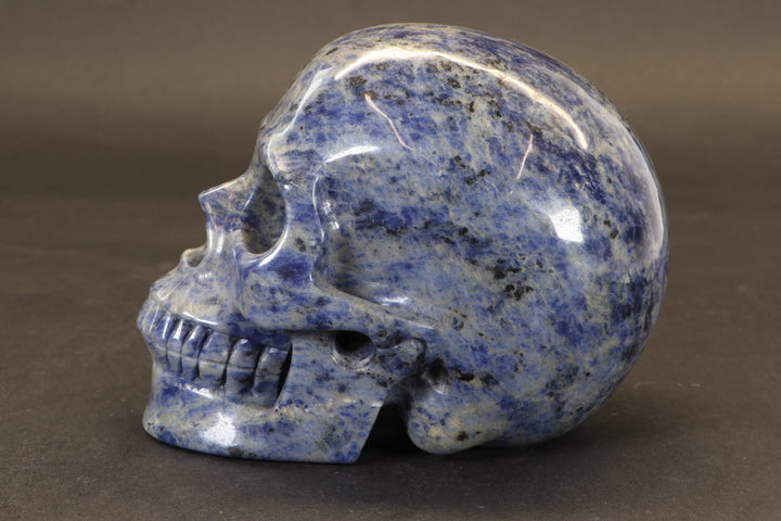 Sodalite Skull Carving TD3986