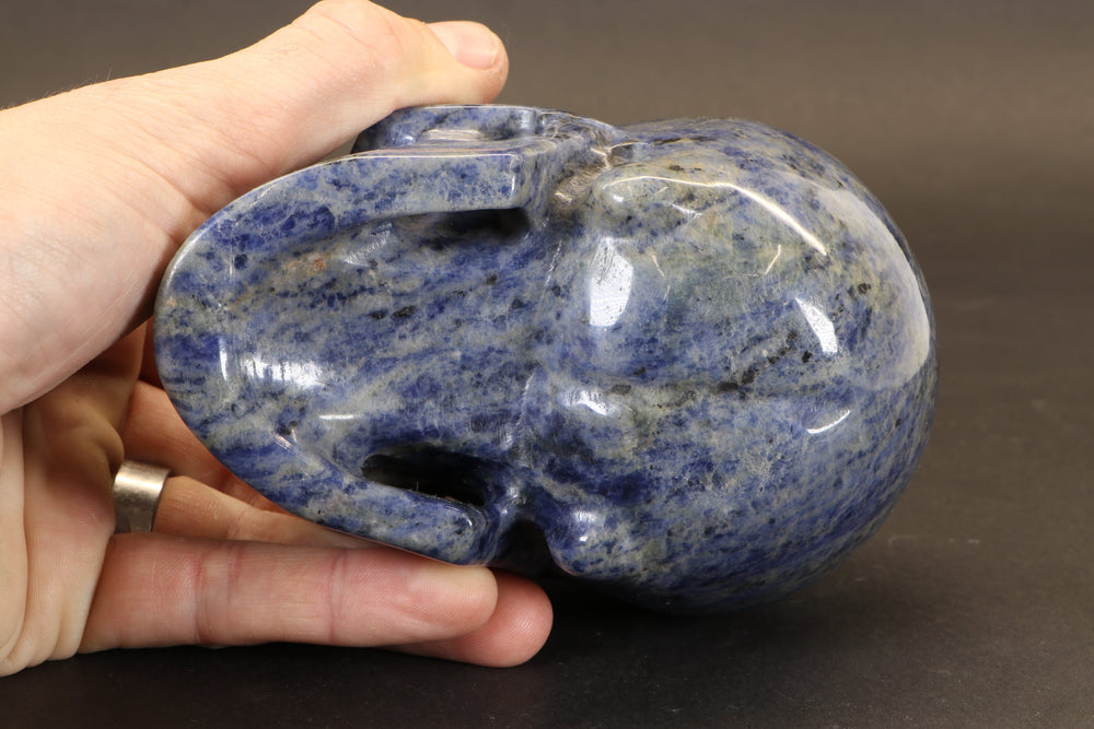 Sodalite Skull Carving TD3986
