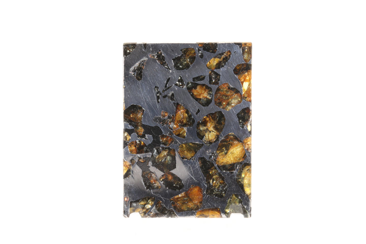 Seymchan Pallasite Meteorite Slab TD747