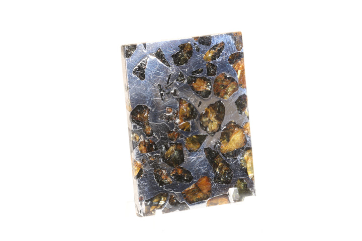 Seymchan Pallasite Meteorite Slab TD747