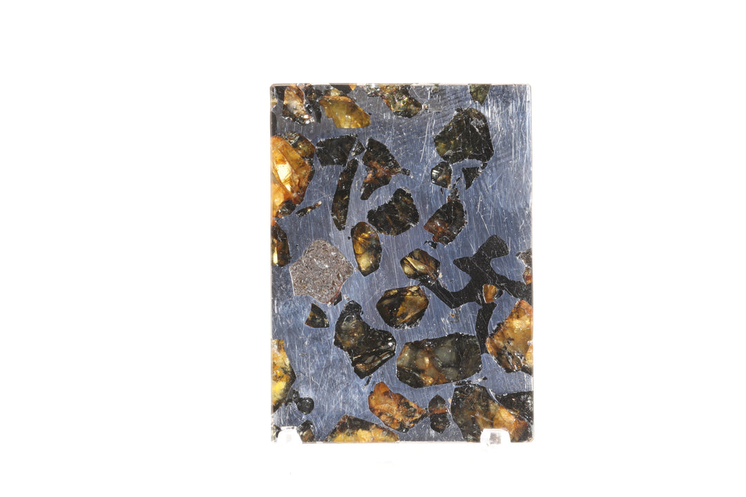 Seymchan Pallasite Meteorite Slab TD747