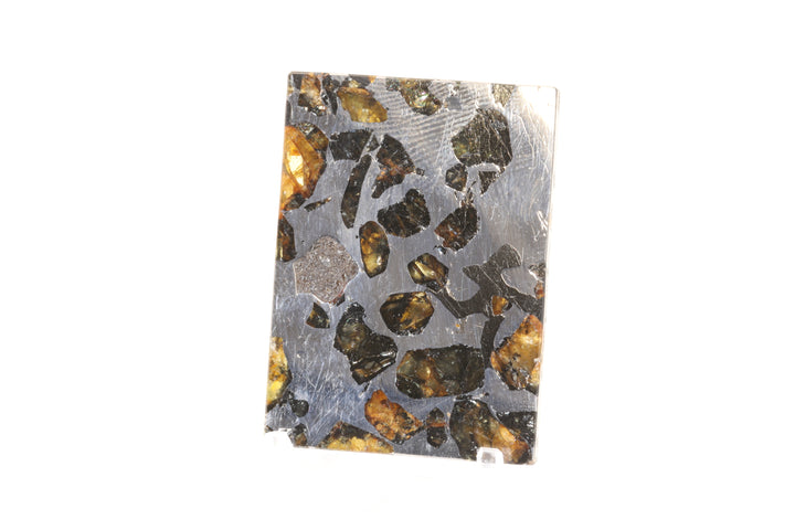 Seymchan Pallasite Meteorite Slab TD747