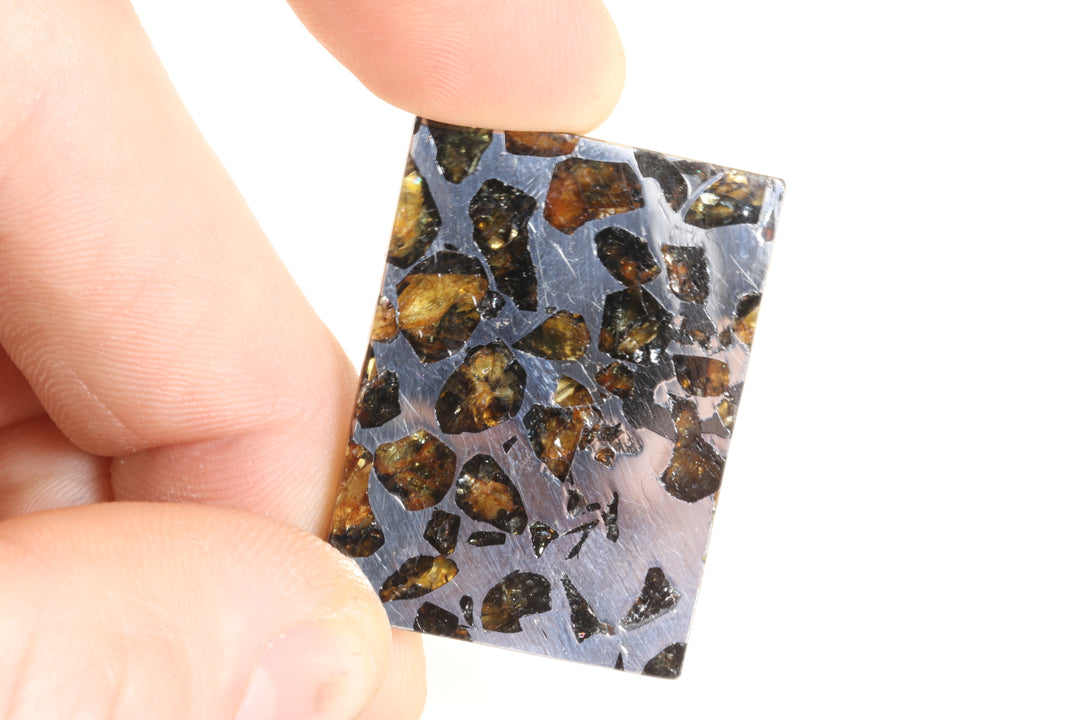 Seymchan Pallasite Meteorite Slab TD747