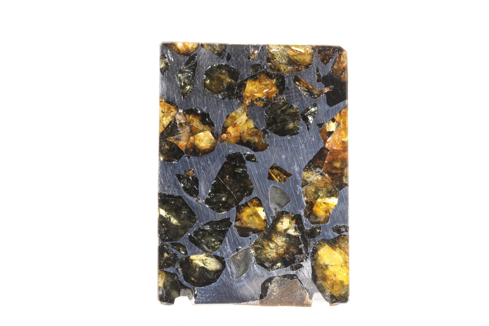 Seymchan Pallasite Meteorite Slab TD749