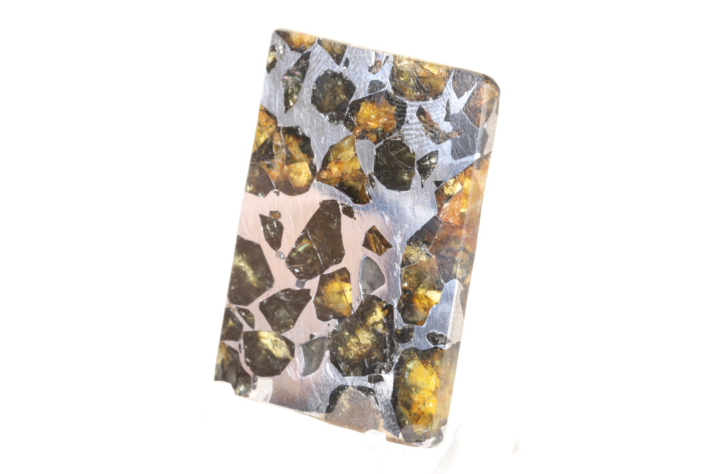 Seymchan Pallasite Meteorite Slab TD749