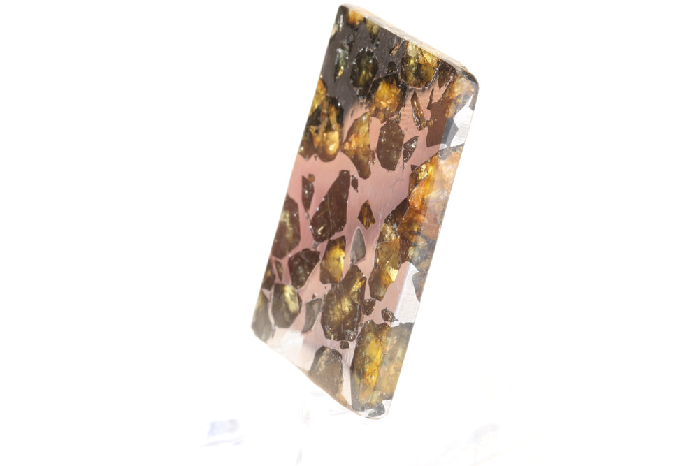 Seymchan Pallasite Meteorite Slab TD749