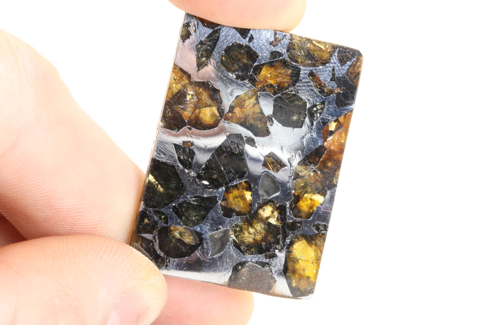 Seymchan Pallasite Meteorite Slab TD749