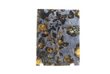 Seymchan Pallasite Meteorite Slab TD750