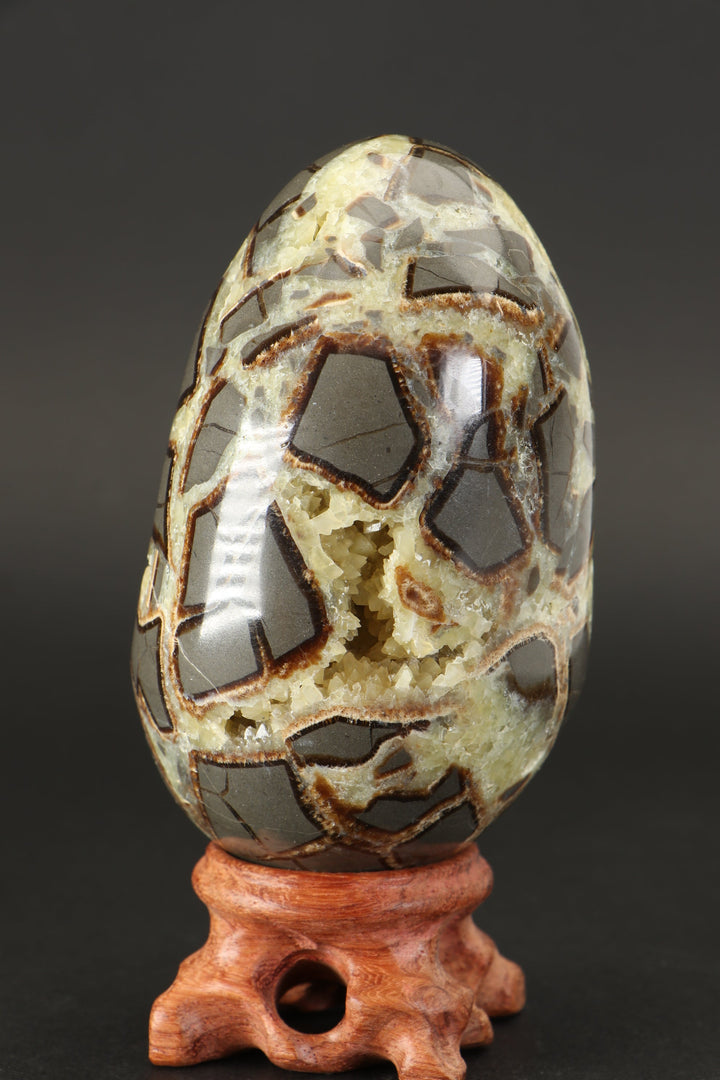 Septarian Geode Egg TF1790