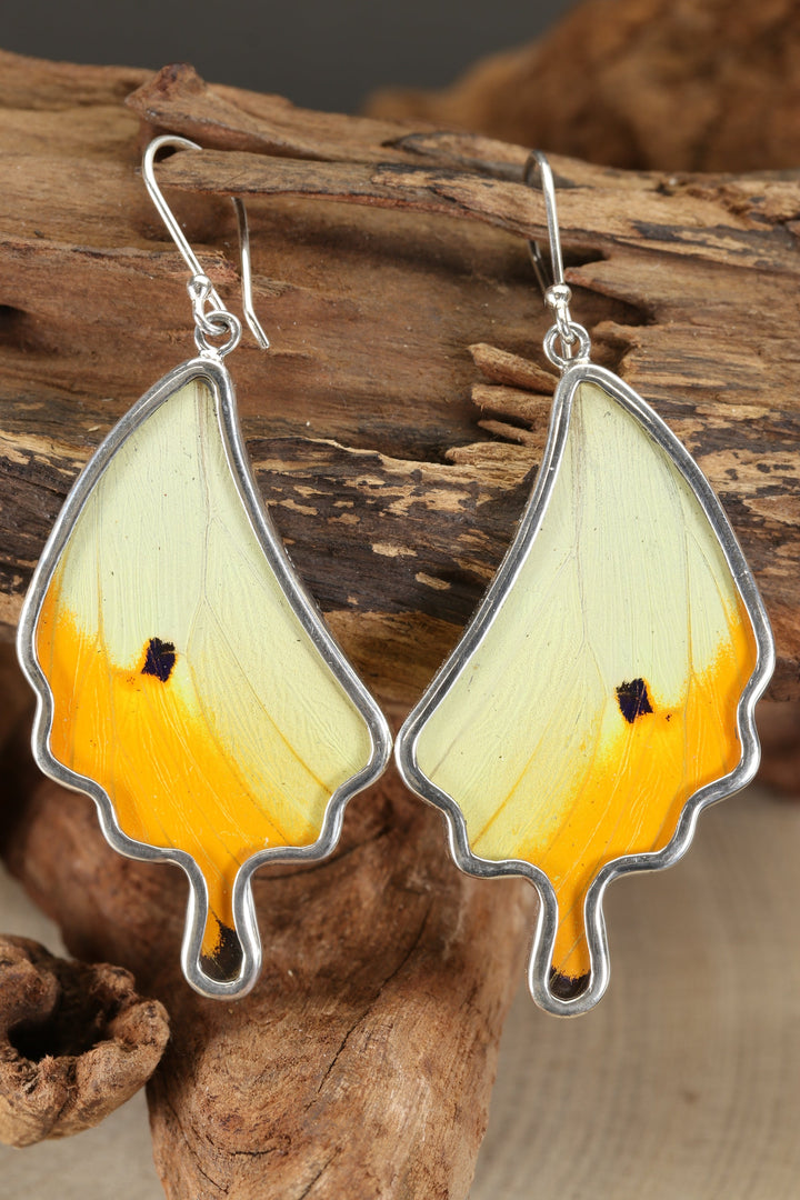 Menippe Butterfly Dangle Earrings TF184