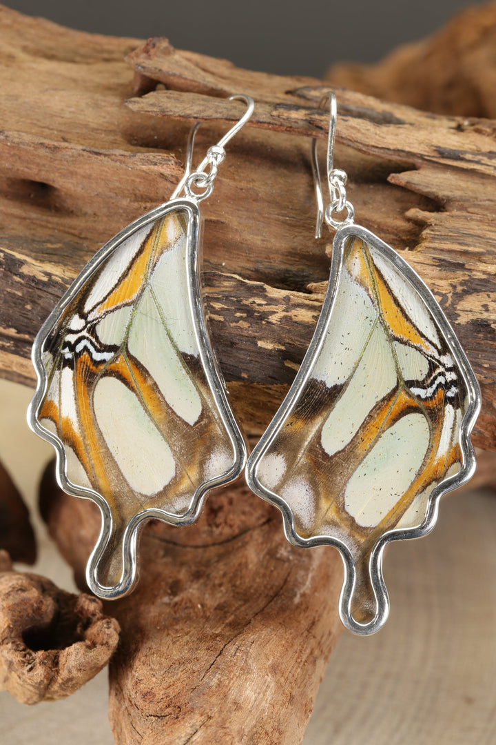 Stelenes Butterfly Dangle Earrings TF186