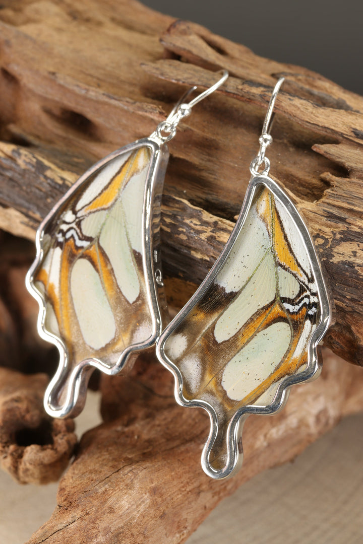 Stelenes Butterfly Dangle Earrings TF186