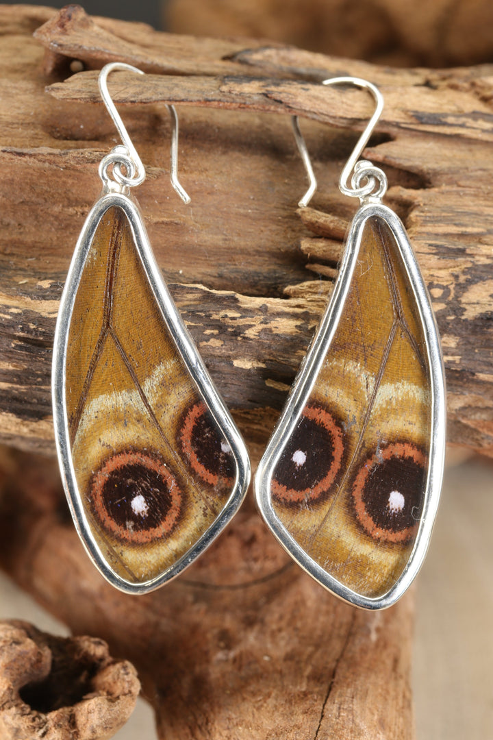 Morpho Butterfly Dangle Earrings TF640