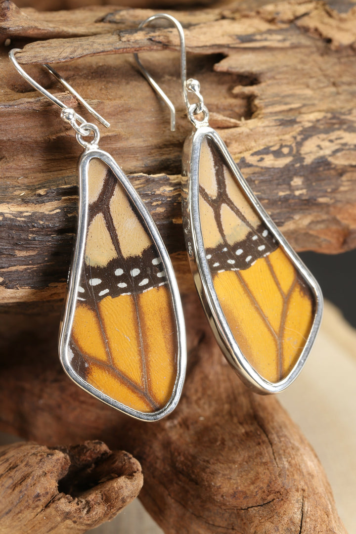 Monarch Butterfly Earrings TF646