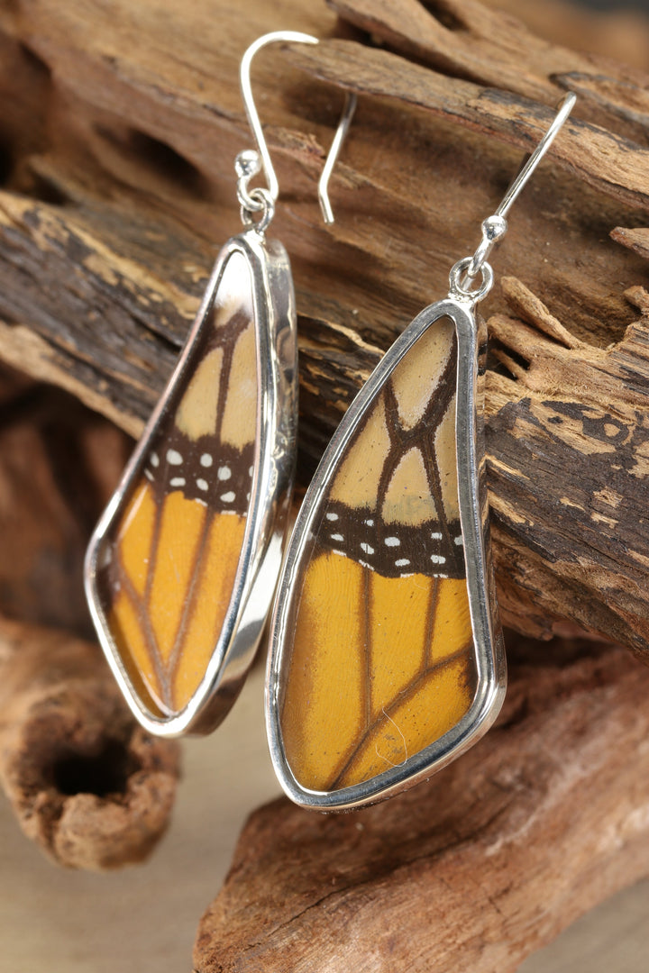 Monarch Butterfly Earrings TF646