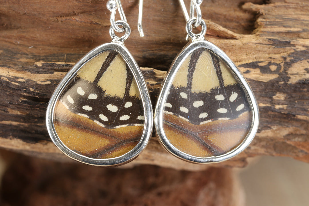 Monarch Butterfly Earrings TF682