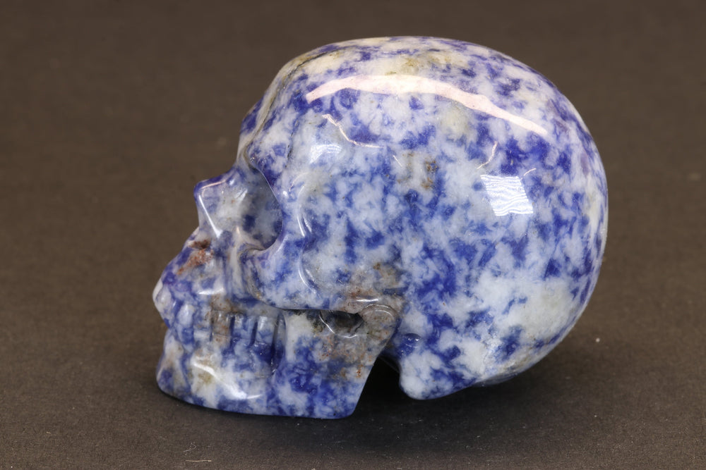 Sodalite Skull TU1264