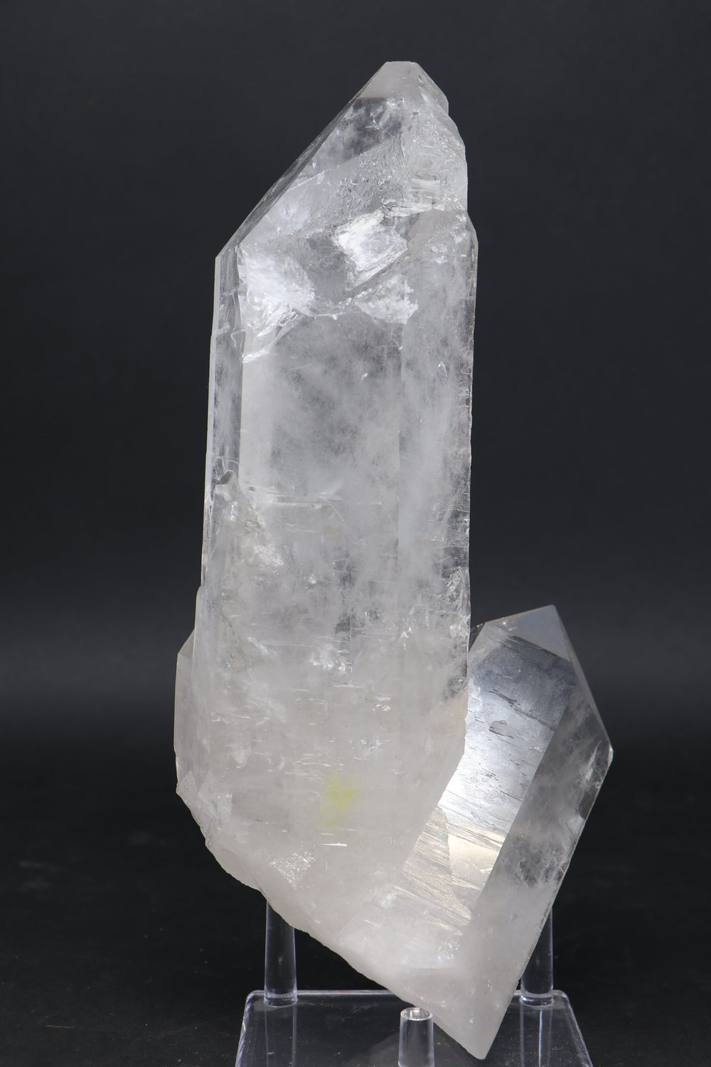 9.5" Diamantina Lemurian Cluster TU1339