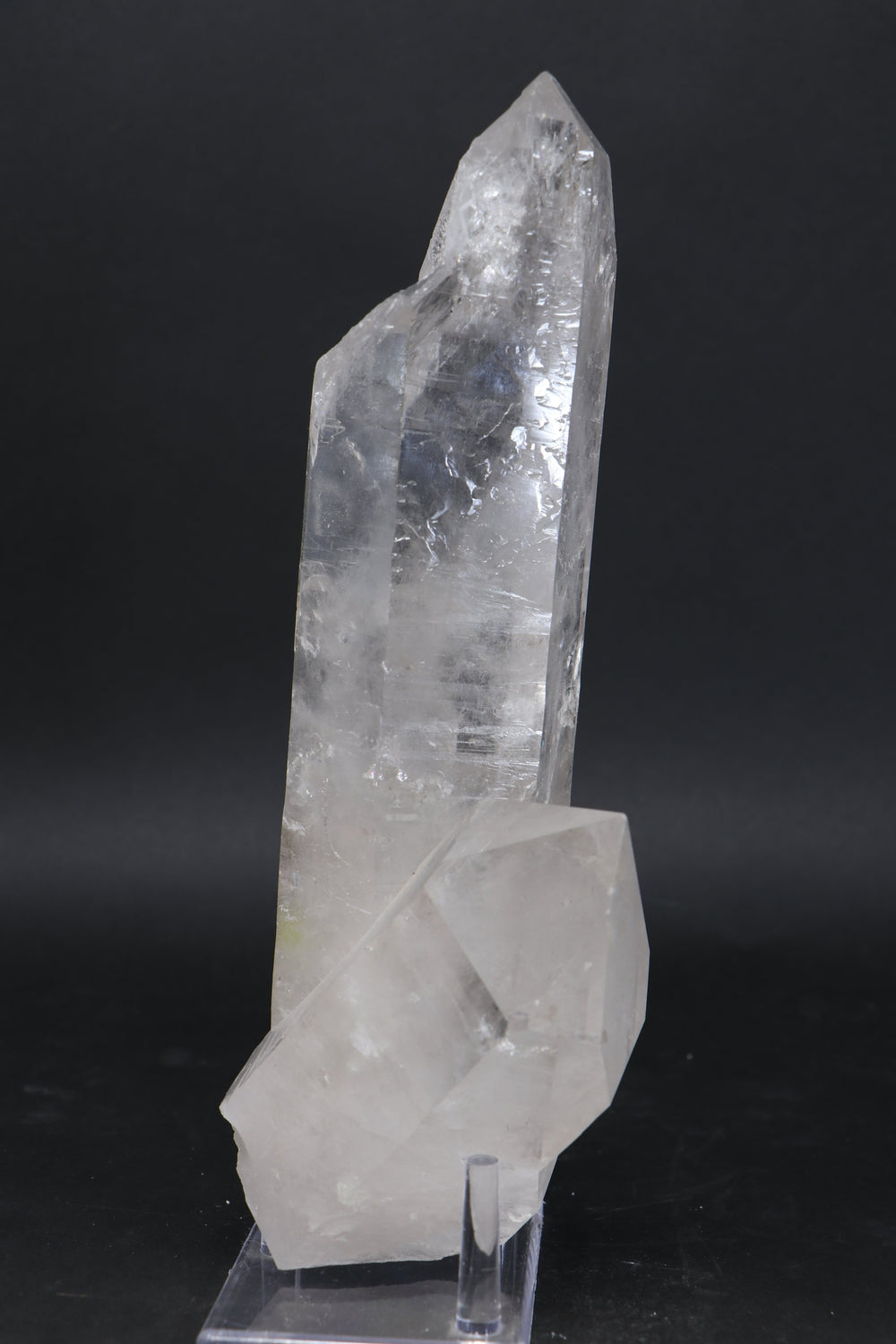9.5" Diamantina Lemurian Cluster TU1339